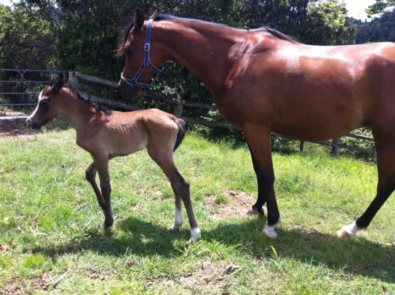 a few hours old..... :)